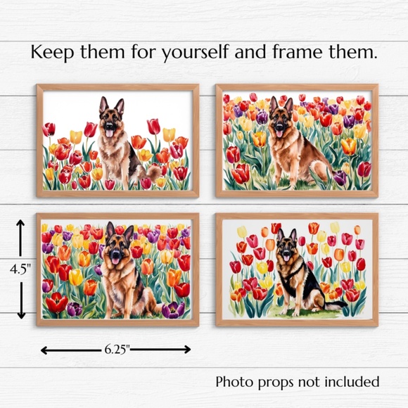 German Shepherd in a Field of Tulips, Spring Collection Blank Note Card Set - Picture 9 of 12